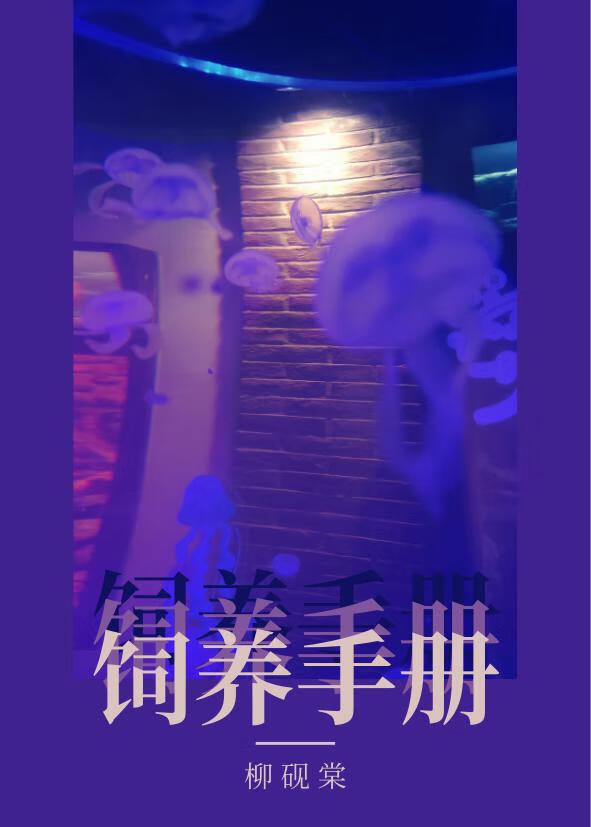 潮湿地适合种什么