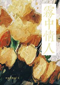 电视剧雾中雾简介