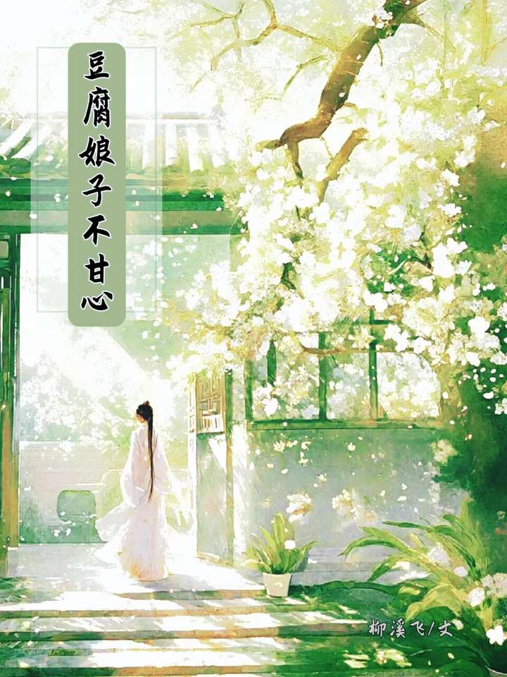 豆腐娘子百度云