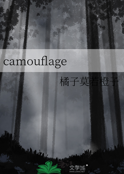 camouflage是什么意思